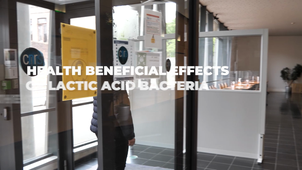 3-Catherine_EN_HD.mp4