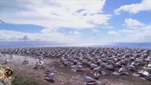 Vidéo sans titre ‐ Réalisée avec Clipchamp.mp4