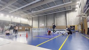 Lucas-Fantin-MASTER1-MEEF-VIDEO-STAGE.mov