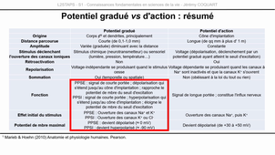 L2-UE3.1-CM2-Capsule2.mp4