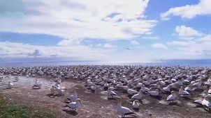 Clipchamp_AMIR_Hanane.mp4