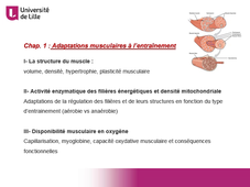 Déterminants Physiologiques de la performance (semestre 2 Part 1)