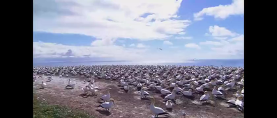 Vidéo sans titre ‐ Réalisée avec Clipchamp.mp4 lina r