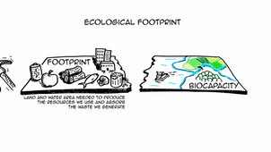 Empreinte écologique_ explication sur tableau blanc.mp4