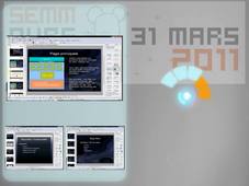 Ours 2011 - Développeur Informatique au SEMM