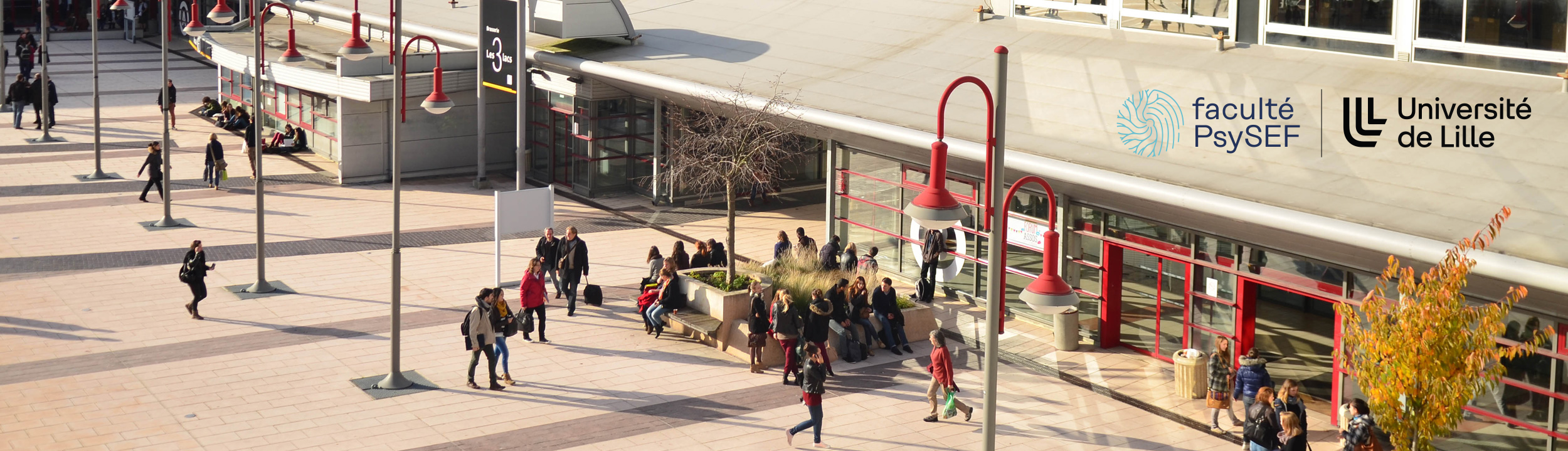 Bannière Sciences de l’Éducation et de la Formation