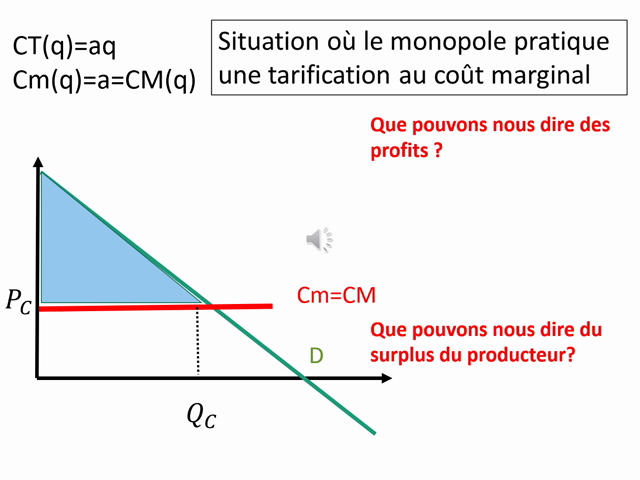 Lille.Pod - Mesurer L'Inefficacité Du Monopole - Cas Sim…
